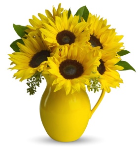 sunflower-pitcher